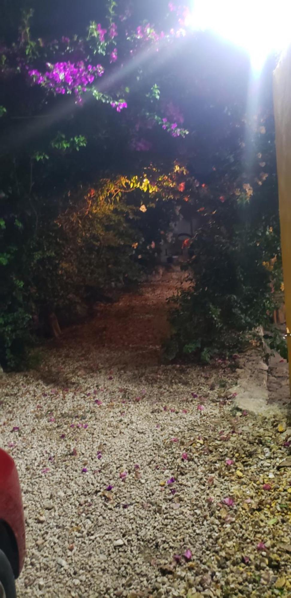 Casa "Los Jarochos" 2 فالادوليد المظهر الخارجي الصورة